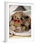 Domestic Cat, Brown Ticked Tabby Kitten, Under Blanket with Teddy Bear-Jane Burton-Framed Photographic Print