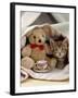 Domestic Cat, Brown Ticked Tabby Kitten, Under Blanket with Teddy Bear-Jane Burton-Framed Photographic Print