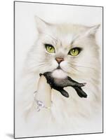 Domestic Cat, Conceptual Image-SMETEK-Mounted Photographic Print