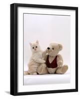 Domestic Cat, Cream Fluffy Kitten with Teddy Bear-Jane Burton-Framed Photographic Print