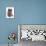 Domestic Cat, Exotic Shorthair, blue kitten, sitting-Chris Brignell-Mounted Photographic Print displayed on a wall