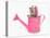 Domestic Cat, Exotic Shorthair, kitten, sitting in pink watering can-Chris Brignell-Stretched Canvas