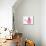 Domestic Cat, Exotic Shorthair, kitten, sitting in pink watering can-Chris Brignell-Mounted Photographic Print displayed on a wall