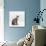 Domestic Cat, Female Silver Egyptian Mau-Jane Burton-Stretched Canvas displayed on a wall