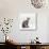 Domestic Cat, Female Silver Egyptian Mau-Jane Burton-Stretched Canvas displayed on a wall