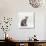 Domestic Cat, Female Silver Egyptian Mau-Jane Burton-Photographic Print displayed on a wall