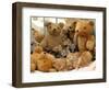 Domestic Cat, Five Kittens in Cot with Teddy Bears-Jane Burton-Framed Premium Photographic Print