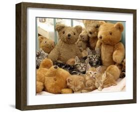 Domestic Cat, Five Kittens in Cot with Teddy Bears-Jane Burton-Framed Photographic Print