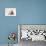Domestic Cat, Fluffy Cream Kitten with Cream Teddy Bear-Jane Burton-Photographic Print displayed on a wall