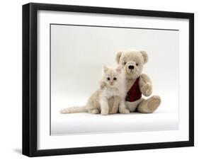 Domestic Cat, Fluffy Cream Kitten with Cream Teddy Bear-Jane Burton-Framed Photographic Print
