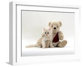 Domestic Cat, Fluffy Cream Kitten with Cream Teddy Bear-Jane Burton-Framed Photographic Print