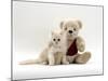 Domestic Cat, Fluffy Cream Kitten with Cream Teddy Bear-Jane Burton-Mounted Photographic Print