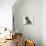 Domestic Cat, Fluffy Tabby Kitten Miaowing-Jane Burton-Photographic Print displayed on a wall