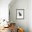 Domestic Cat, Interacting with Baby Grey Squirrel-Jane Burton-Framed Photographic Print displayed on a wall