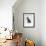 Domestic Cat, Interacting with Baby Grey Squirrel-Jane Burton-Framed Photographic Print displayed on a wall