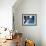Domestic Cat, Kitten Looking Down from Branch-Jane Burton-Framed Photographic Print displayed on a wall