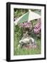 Domestic Cat, kitten sitting on miniature sun lounger under umbrella in garden-Angela Hampton-Framed Photographic Print