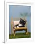 Domestic Cat, Kitten Sleeping on a Deckchair-Petra Wegner-Framed Photographic Print