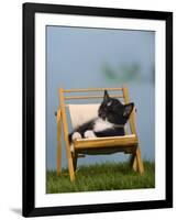 Domestic Cat, Kitten Sleeping on a Deckchair-Petra Wegner-Framed Photographic Print