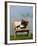 Domestic Cat, Kitten Sleeping on a Deckchair-Petra Wegner-Framed Photographic Print