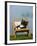 Domestic Cat, Kitten Sleeping on a Deckchair-Petra Wegner-Framed Photographic Print