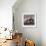 Domestic Cat Kittens, 8-Weeks, Tortoiseshell-And-White Sisters, (Persian-Cross')-Jane Burton-Framed Photographic Print displayed on a wall