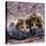 Domestic Cat Kittens, 8-Weeks, Tortoiseshell-And-White Sisters, (Persian-Cross')-Jane Burton-Stretched Canvas
