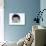 Domestic Cat, Longhaired White in Igloo Bed-Jane Burton-Photographic Print displayed on a wall