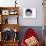 Domestic Cat, Longhaired White in Igloo Bed-Jane Burton-Photographic Print displayed on a wall