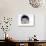 Domestic Cat, Longhaired White in Igloo Bed-Jane Burton-Photographic Print displayed on a wall