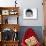 Domestic Cat, Longhaired White in Igloo Bed-Jane Burton-Mounted Photographic Print displayed on a wall