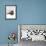 Domestic Cat, One-Year Blue Siamese Burmese Cross-Jane Burton-Framed Photographic Print displayed on a wall