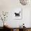 Domestic Cat, One-Year Dark Tortoiseshell Shorthair Cat-Jane Burton-Photographic Print displayed on a wall