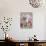 Domestic Cat, Pale Silver Long-Haired Kitten Among Mallows and Ox-Eye Dasies-Jane Burton-Photographic Print displayed on a wall