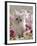 Domestic Cat, Pale Silver Long-Haired Kitten Among Mallows and Ox-Eye Dasies-Jane Burton-Framed Photographic Print