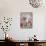 Domestic Cat, Pale Silver Long-Haired Kitten Among Mallows and Ox-Eye Dasies-Jane Burton-Mounted Photographic Print displayed on a wall