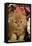 Domestic Cat, Persian, ginger kitten amongst flowers-Angela Hampton-Framed Stretched Canvas