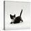 Domestic Cat, Playful Tortoiseshell Kitten-Jane Burton-Stretched Canvas