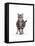Domestic Cat, Pregnant Silver Tabby British Shorthair Female-Jane Burton-Framed Stretched Canvas
