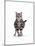 Domestic Cat, Pregnant Silver Tabby British Shorthair Female-Jane Burton-Mounted Photographic Print