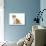 Domestic Cat, Red Bicolour Kitten Sitting-Jane Burton-Photographic Print displayed on a wall