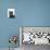 Domestic Cat, Russian Blue Female-Jane Burton-Premium Photographic Print displayed on a wall