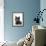 Domestic Cat, Russian Blue Female-Jane Burton-Framed Photographic Print displayed on a wall