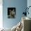 Domestic Cat, Russian Blue Female-Jane Burton-Photographic Print displayed on a wall