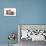 Domestic Cat, Selkirk Rex, four kittens, sitting-Chris Brignell-Stretched Canvas displayed on a wall