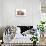 Domestic Cat, Selkirk Rex, four kittens, sitting-Chris Brignell-Photographic Print displayed on a wall
