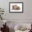 Domestic Cat, Selkirk Rex, four kittens, sitting-Chris Brignell-Framed Photographic Print displayed on a wall