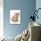Domestic Cat, Selkirk Rex, kitten, sitting-Chris Brignell-Photographic Print displayed on a wall