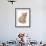 Domestic Cat, Selkirk Rex, kitten, sitting-Chris Brignell-Framed Photographic Print displayed on a wall