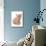 Domestic Cat, Selkirk Rex, kitten, sitting-Chris Brignell-Mounted Photographic Print displayed on a wall